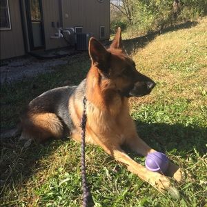 Meet your Posher, Marietta